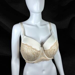 Cacique Lace Padded Push-up Bra